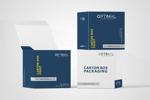 packaging carton box services